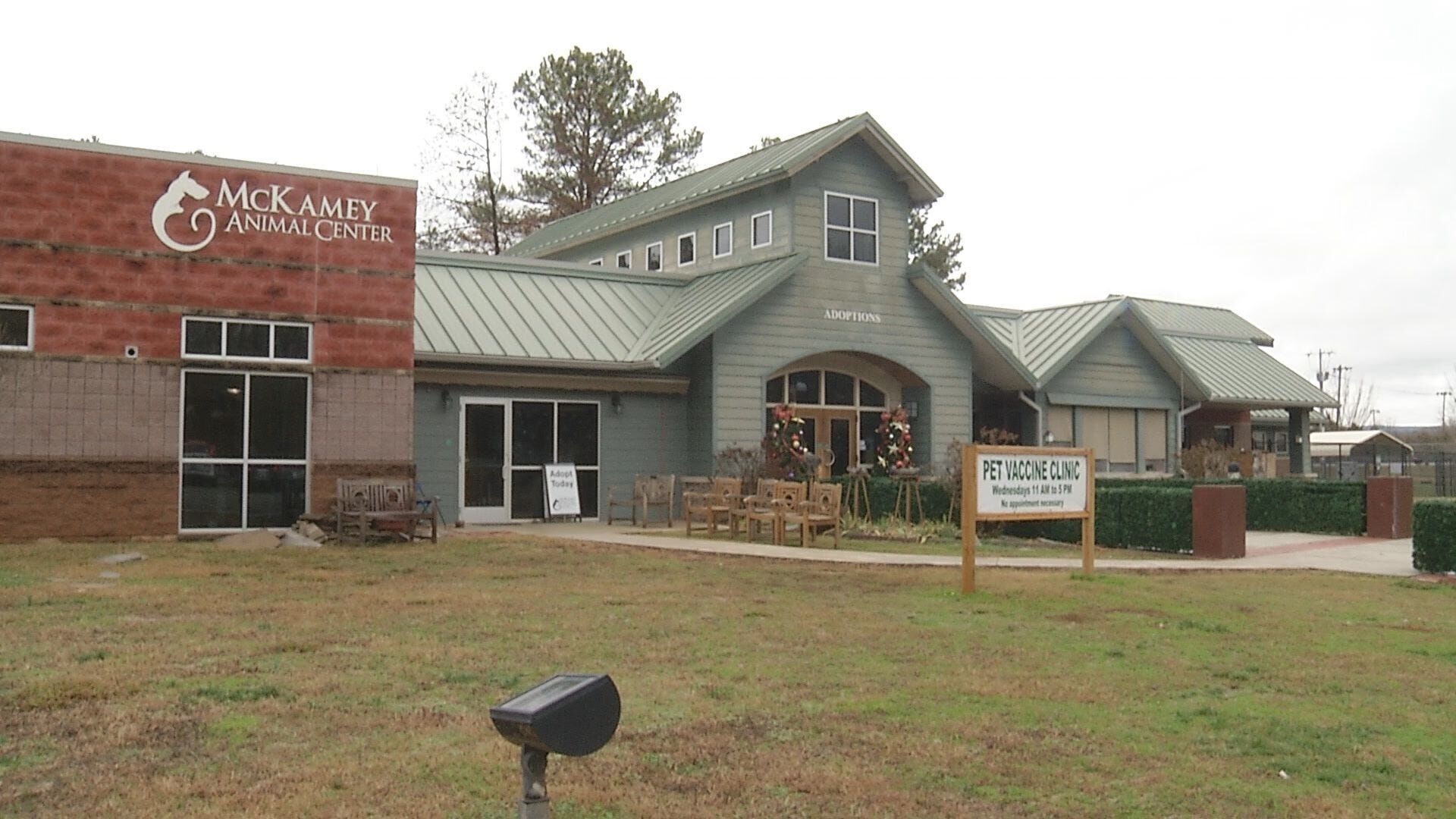 McKamey Animal Center waiving adoption fees for senior dogs, cats during National Adopt a Senior Pet Month